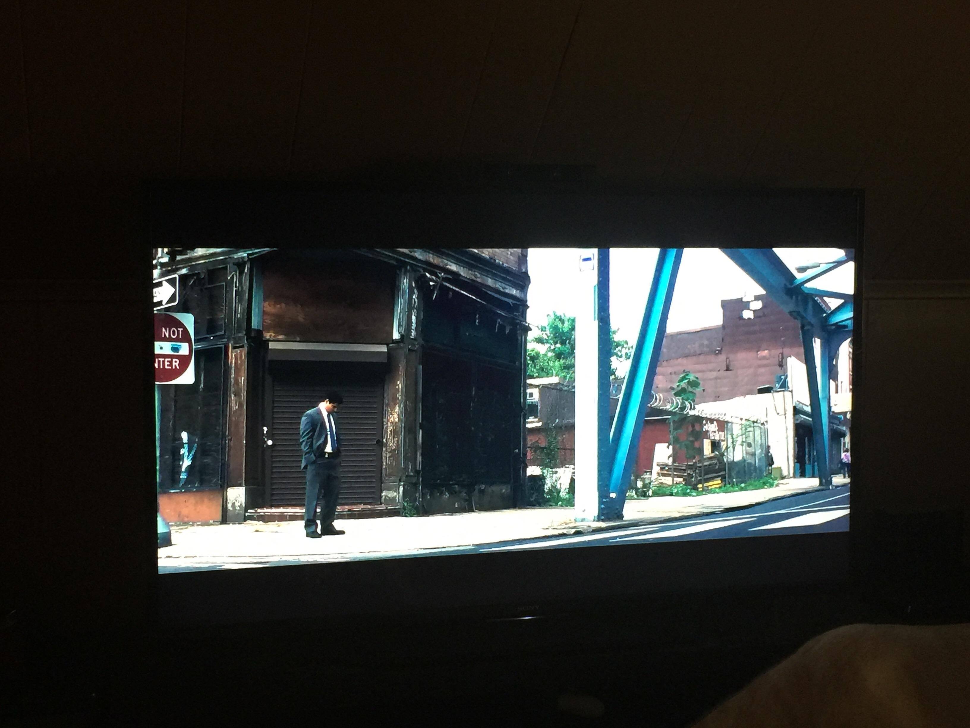 Great picture, click to load a larger version