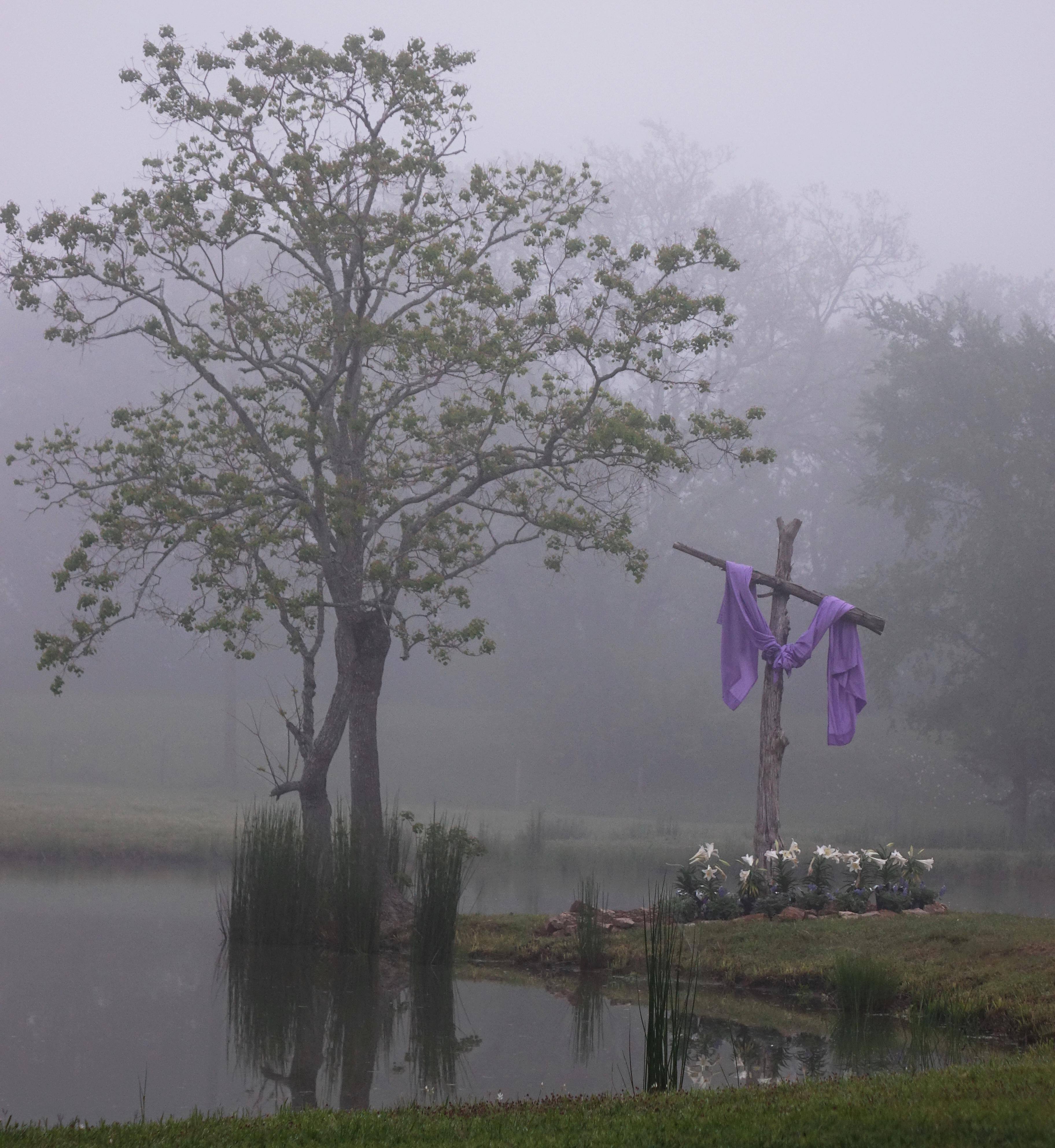 Sunrise with heavy fog!, click to load a larger version