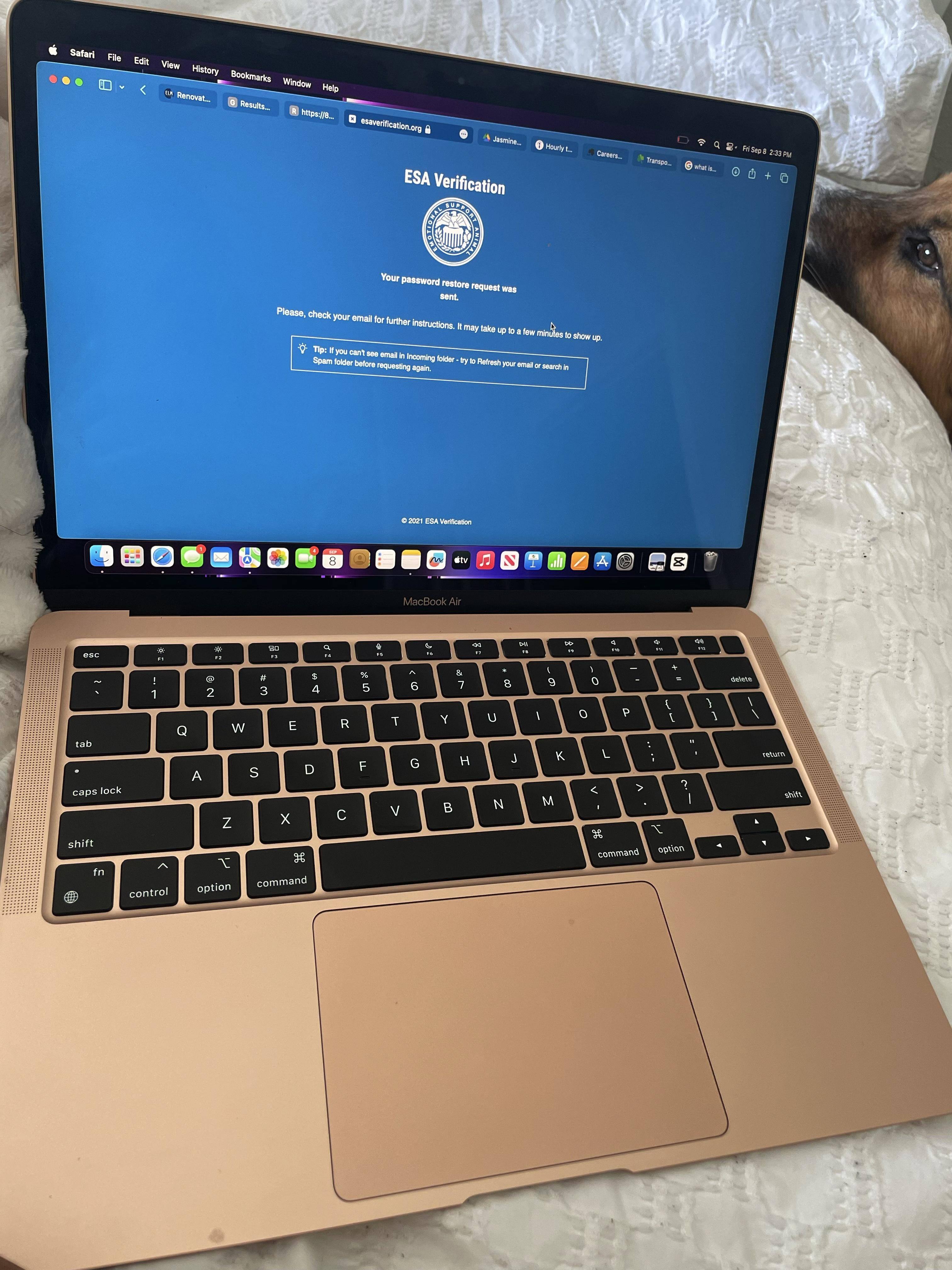 Customer provided, click to load a larger version