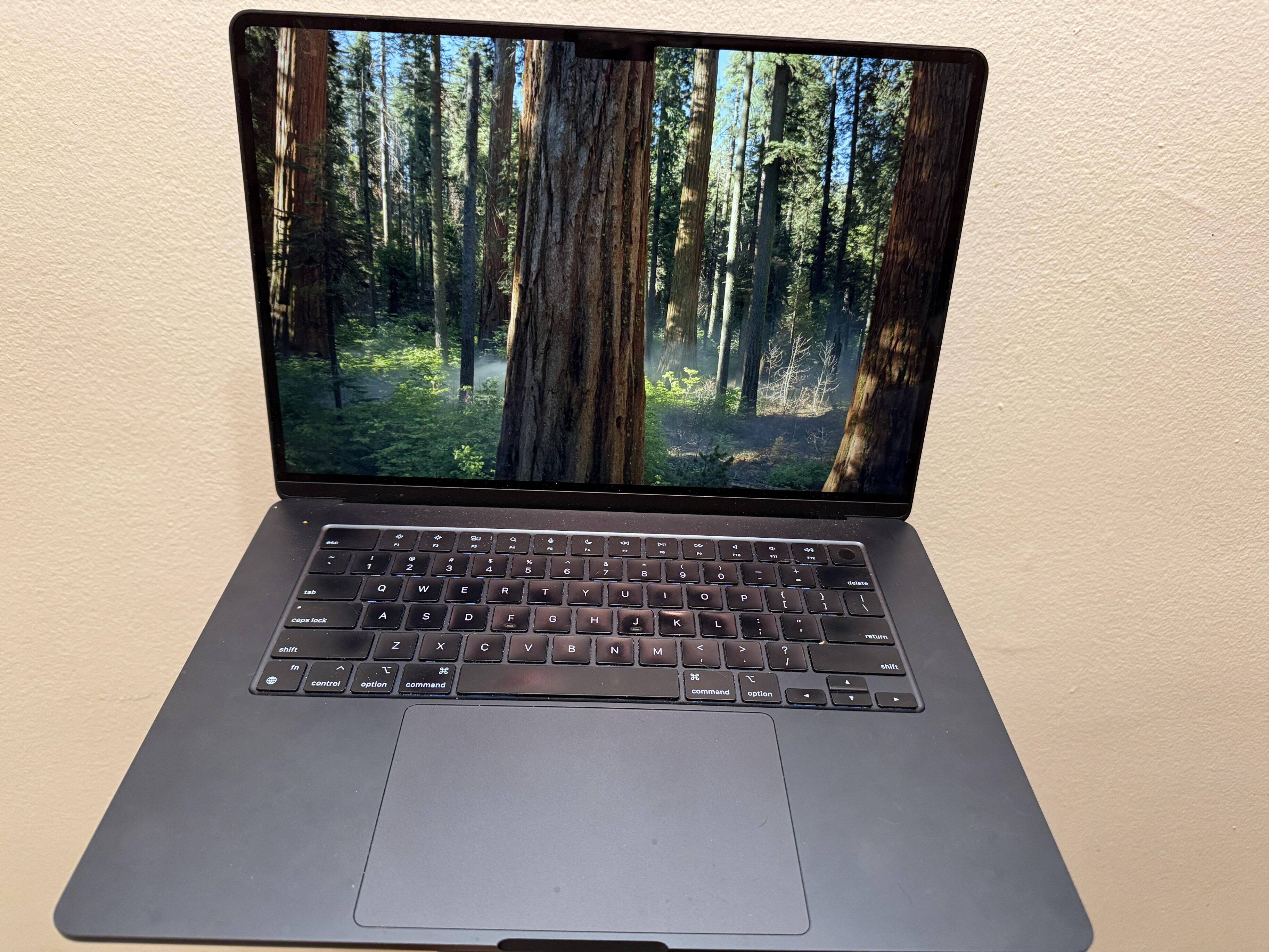 Apple MacBook Air 15