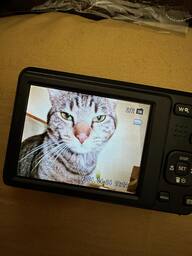 Kodak PIXPRO FZ55 16.4 Megapixel Digital Camera Black FZ55