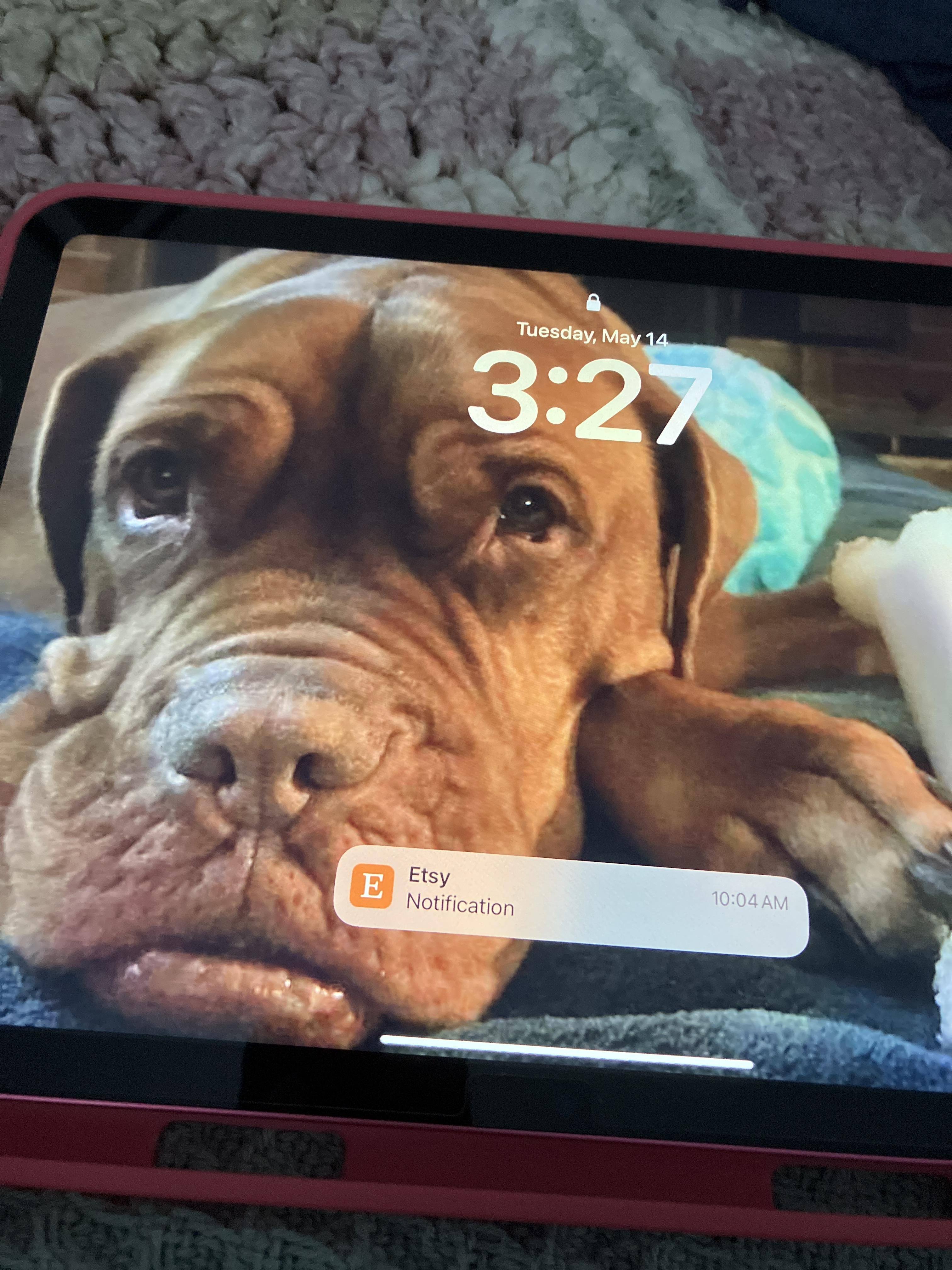 Customer provided, click to load a larger version