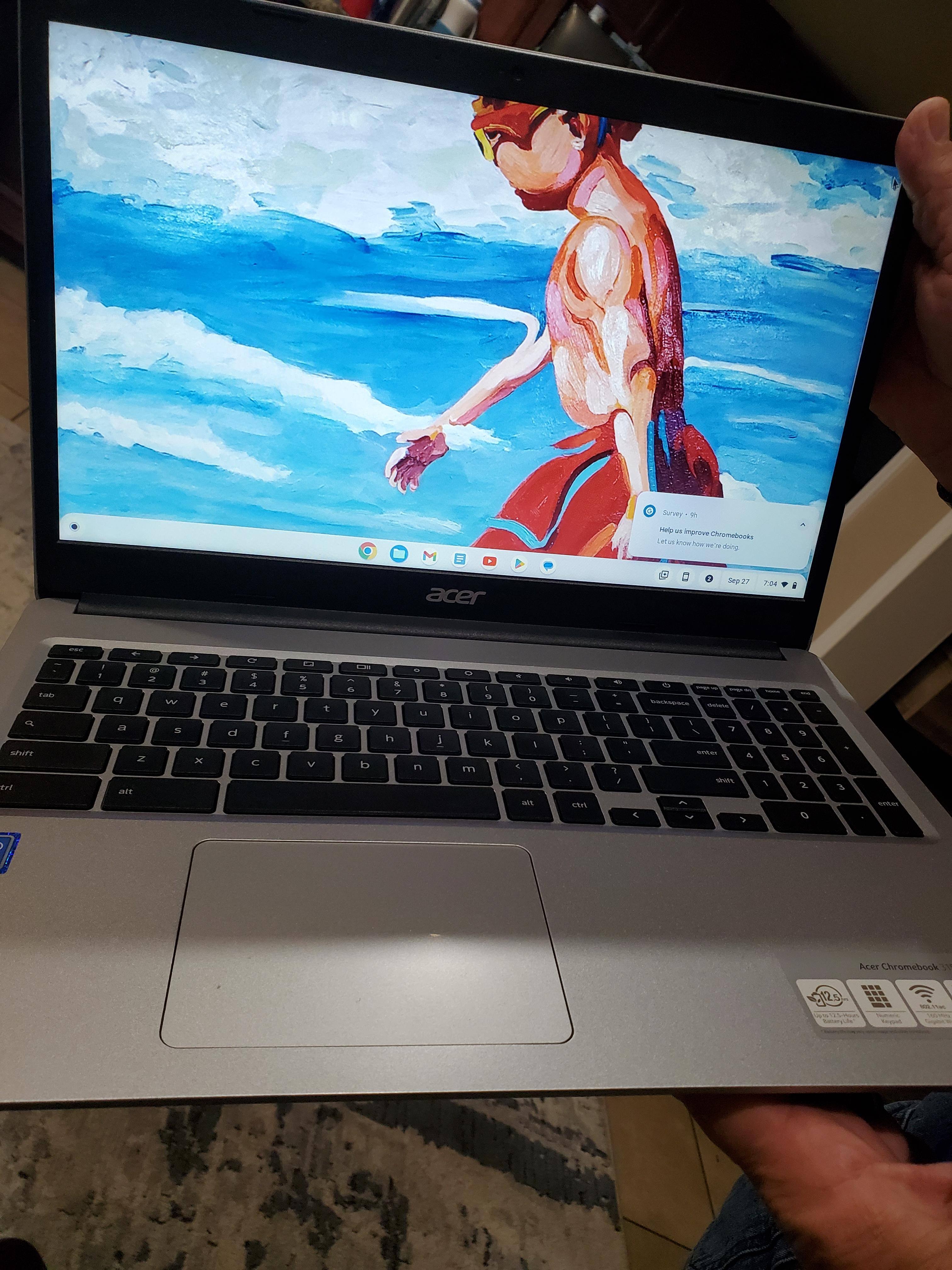 Customer provided, click to load a larger version