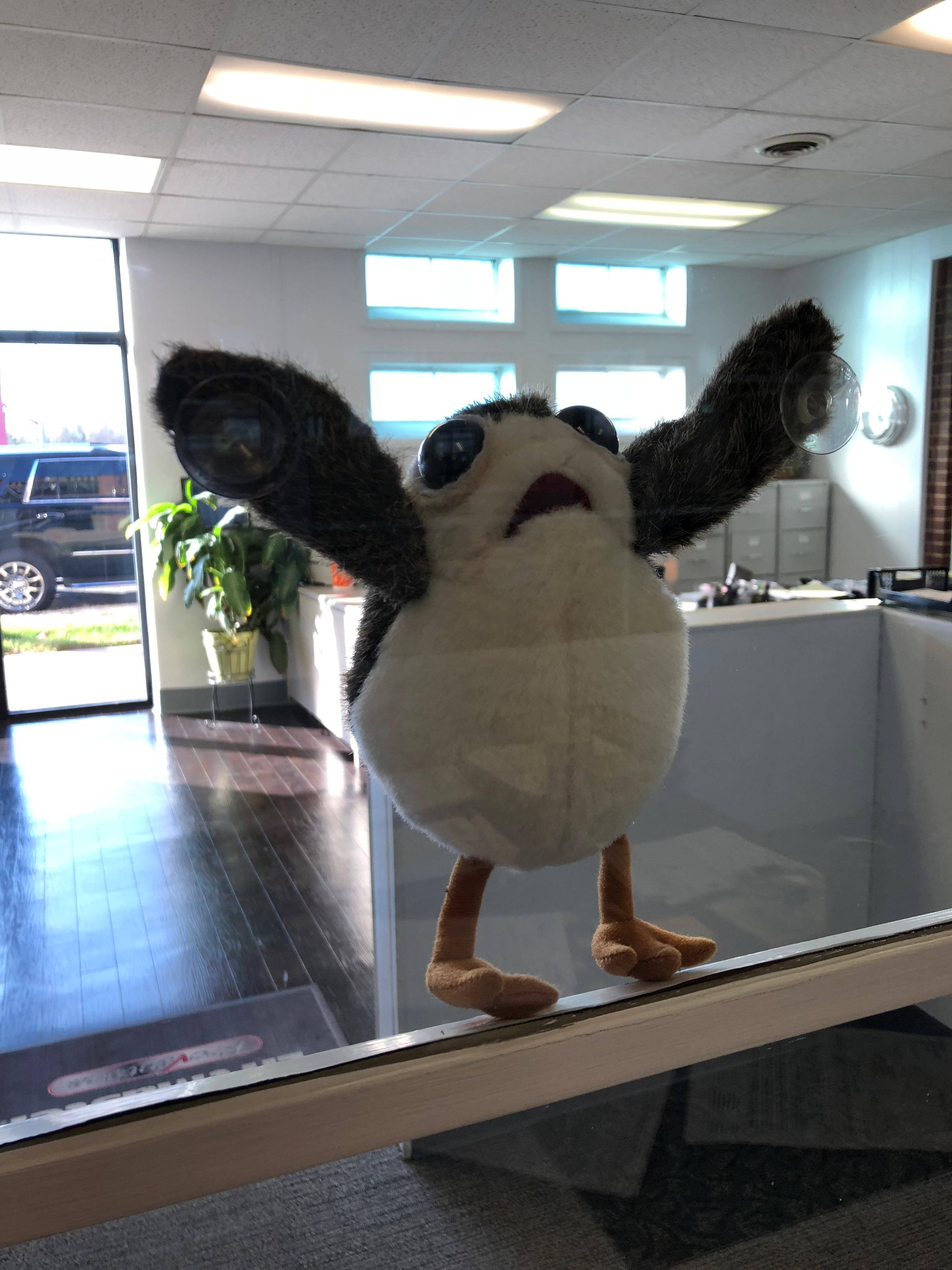 Customer provided image, click to load a larger version