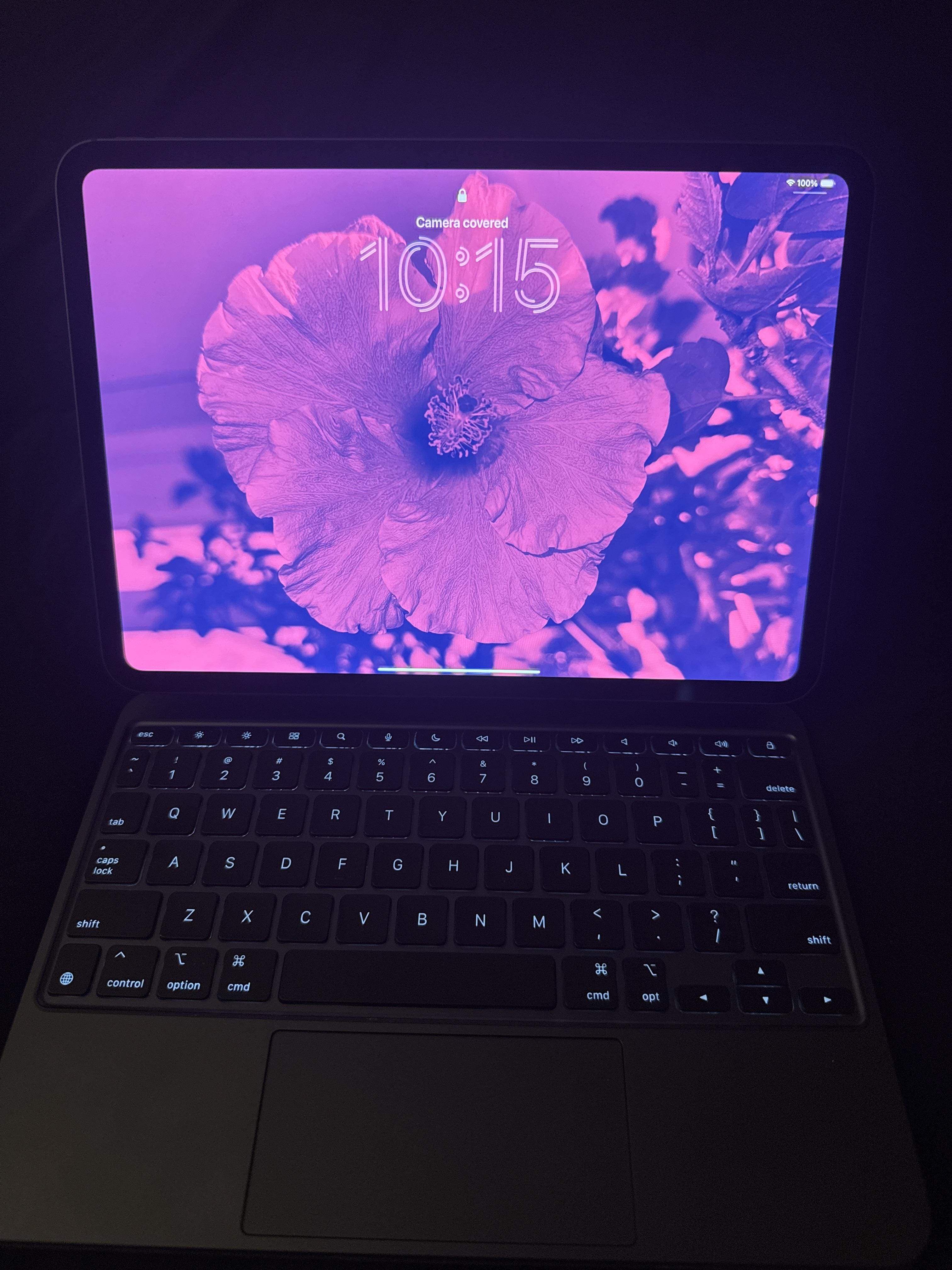 Apple 11 inch iPad Pro M5 chip Wi Fi 256GB with OLED Space Black