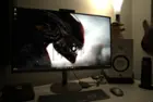 A glorious screen!, click to load a larger version