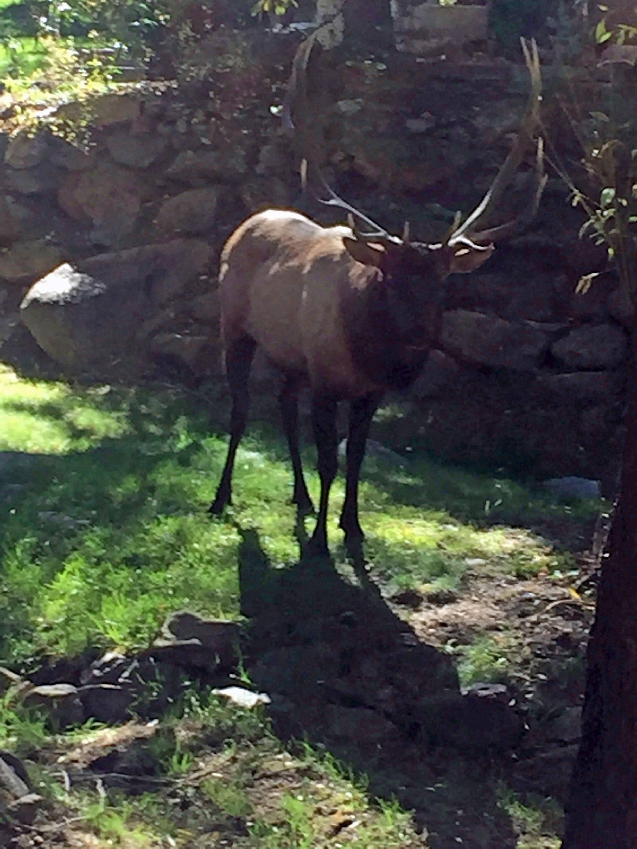 After Auto Smart Fix, click to load a larger version