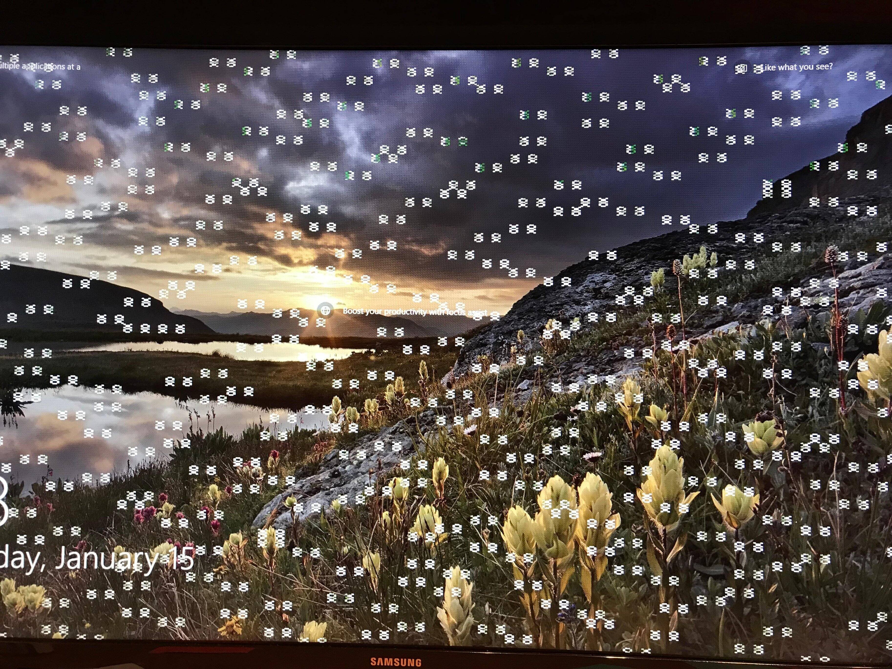 Customer provided image, click to load a larger version