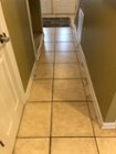 1 week of dog fur, click to load a larger version