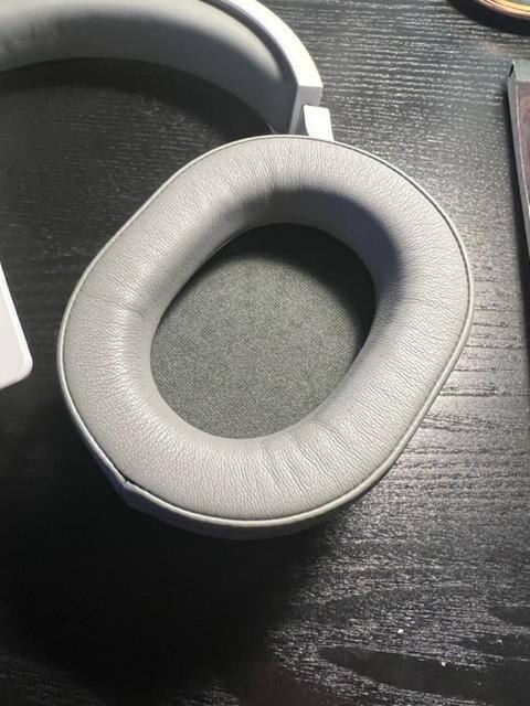 The padding is thin on the sides and makes your head sweat.  My ears started to hurt within 10-15 minutes of wearing the HS55s., click to load a larger version