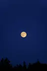 Moon Rise in Salem, OR, click to load a larger version