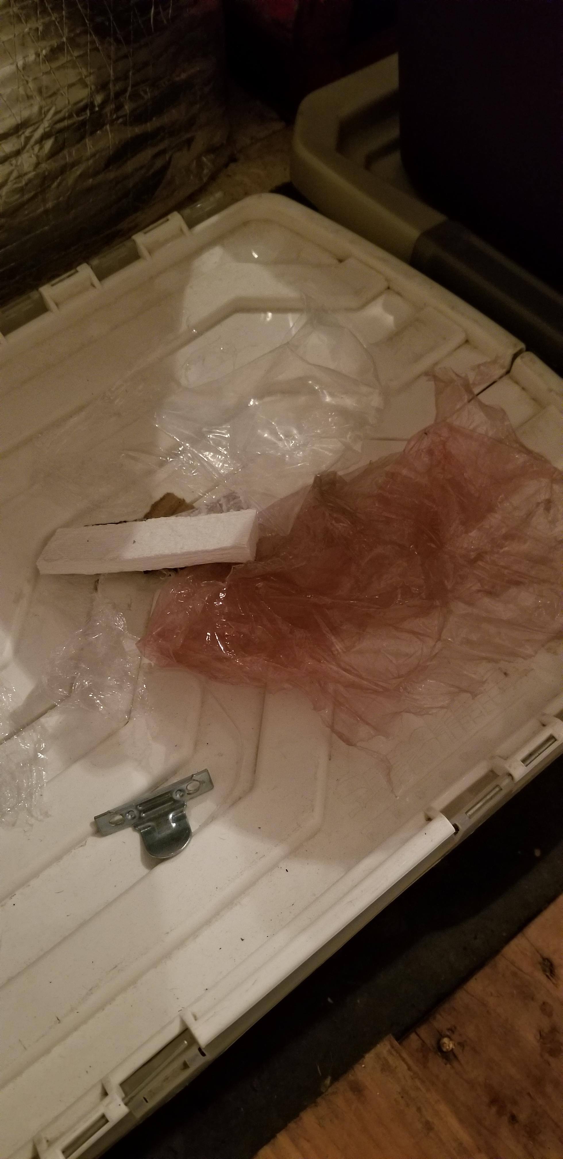 Trash left in yard, click to load a larger version