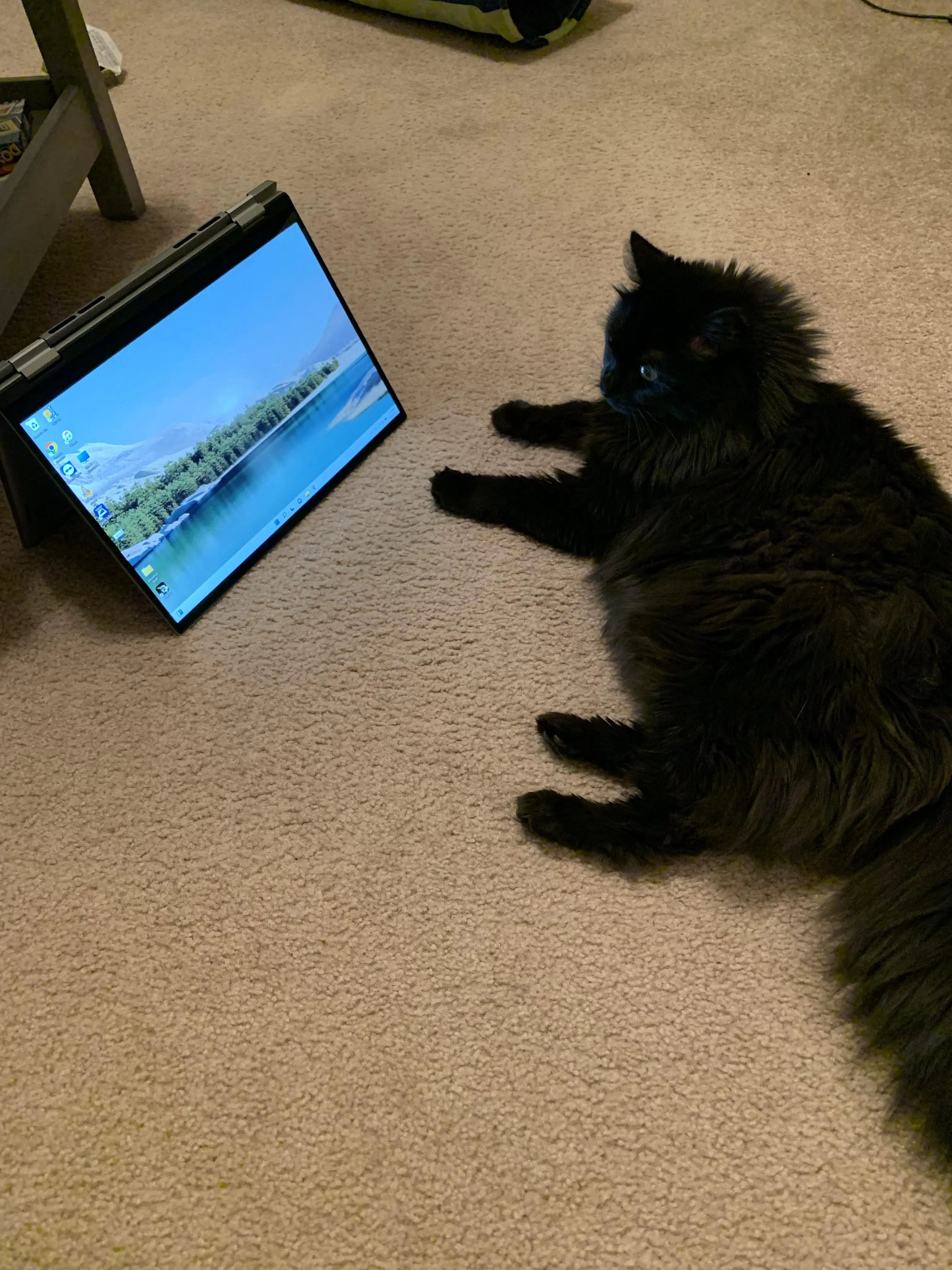 Customer provided image, click to load a larger version