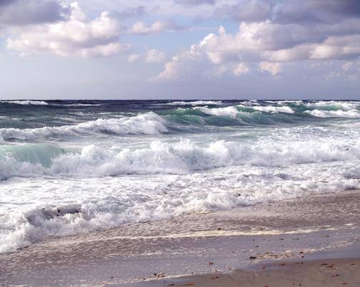 Walking along the shore, click to load a larger version