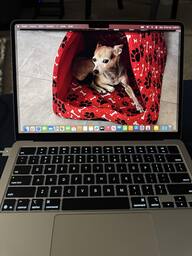 Apple MacBook Air 13 inch Apple M4 chip Built for Apple Apple MacBook Air 13 inch Apple M4 chip Built for Apple