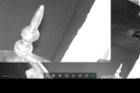 Browser based administration uncovers random bugs such as this zooming bug., click to load a larger version