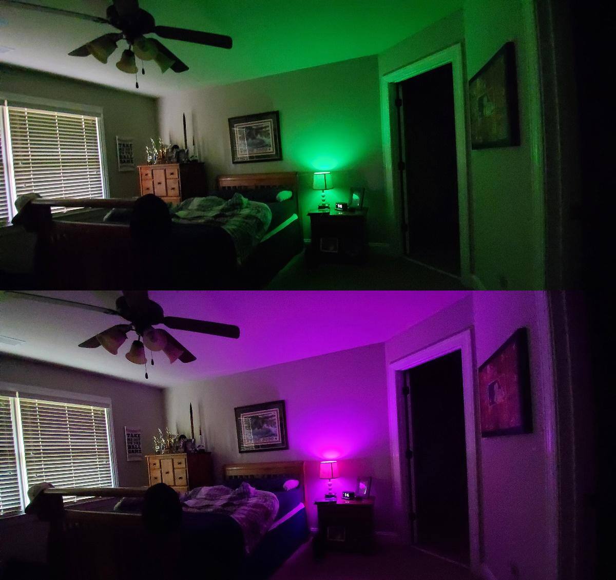 green/purple, click to load a larger version