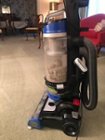 After 3 rooms of recently vacuumed carpet, click to load a larger version