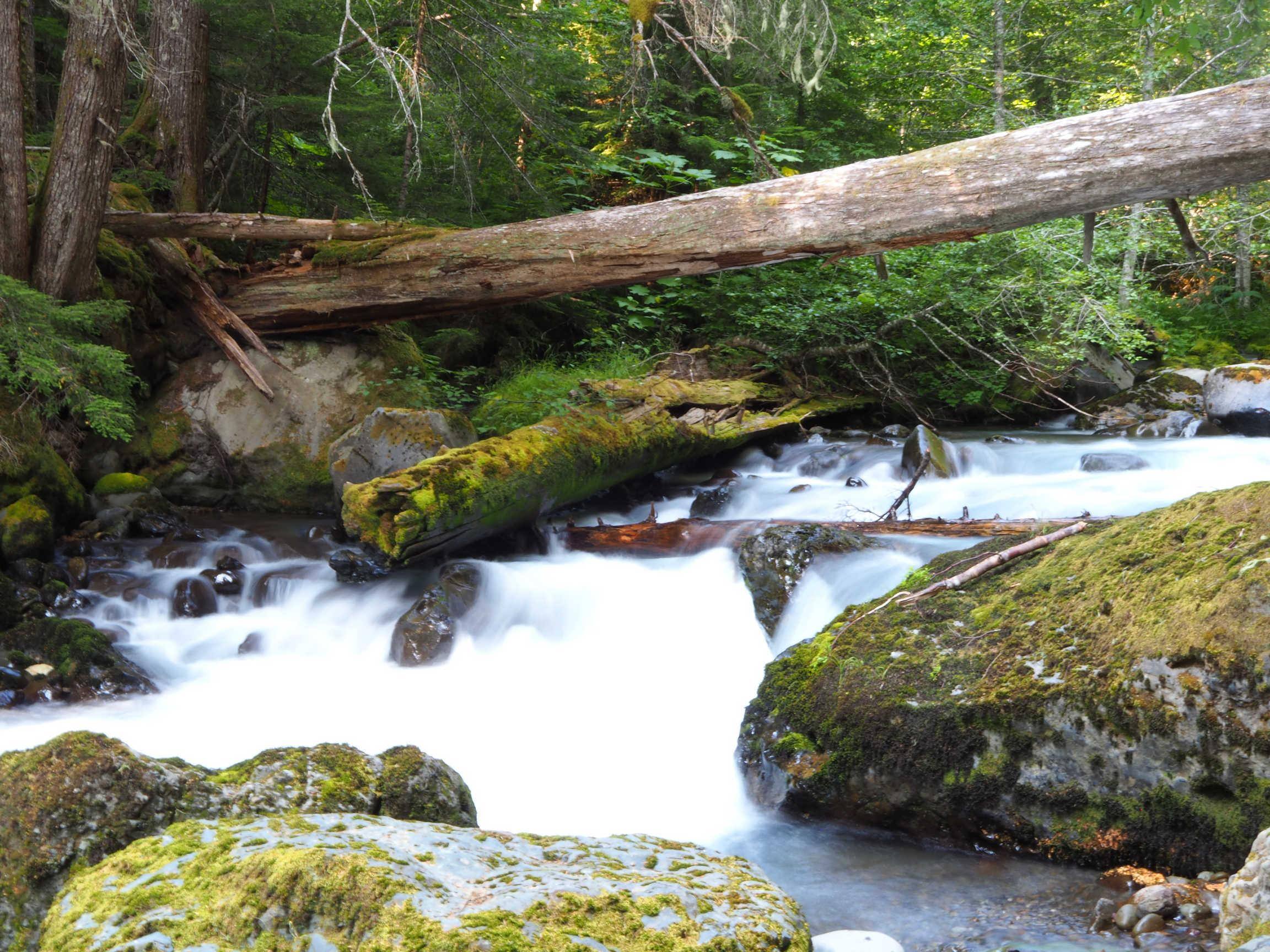 Low mixed light, click to load a larger version