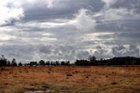 Flagler County, Florida, click to load a larger version