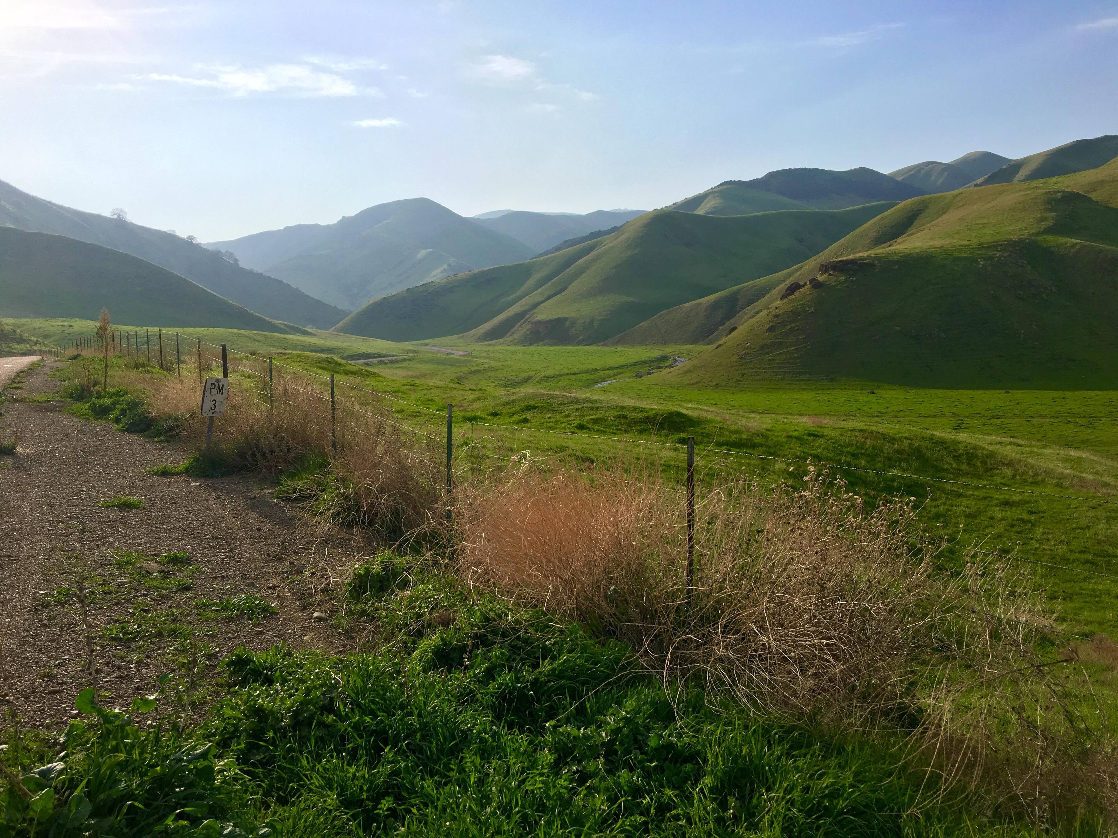 Shot on my iPhone 6s Plus, click to load a larger version