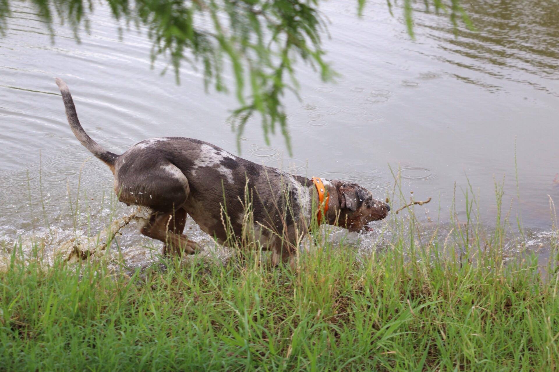 Taken with our new camera, click to load a larger version