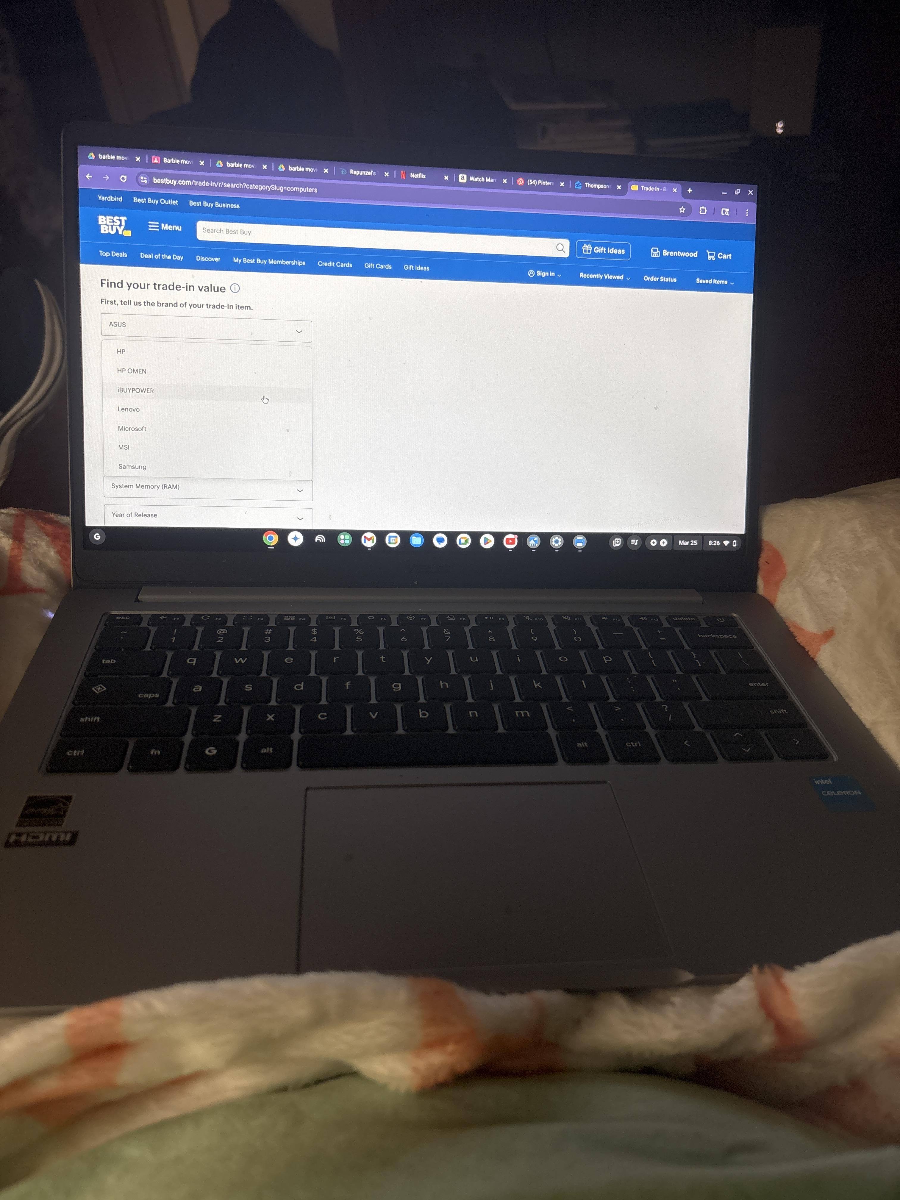 Customer provided image, click to load a larger version