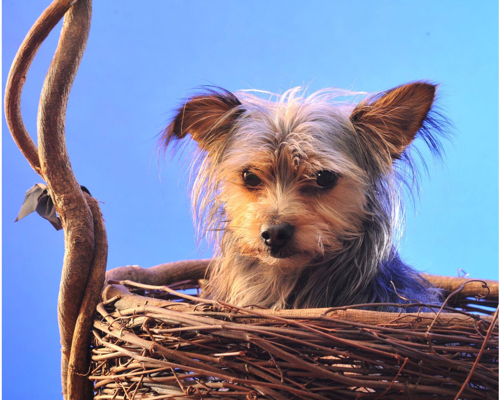 Not too happy customer, click to load a larger version