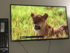 Best Buy: Sony 43 Class LED X720E Series 2160p Smart 4K UHD TV with HDR  KD43X720E