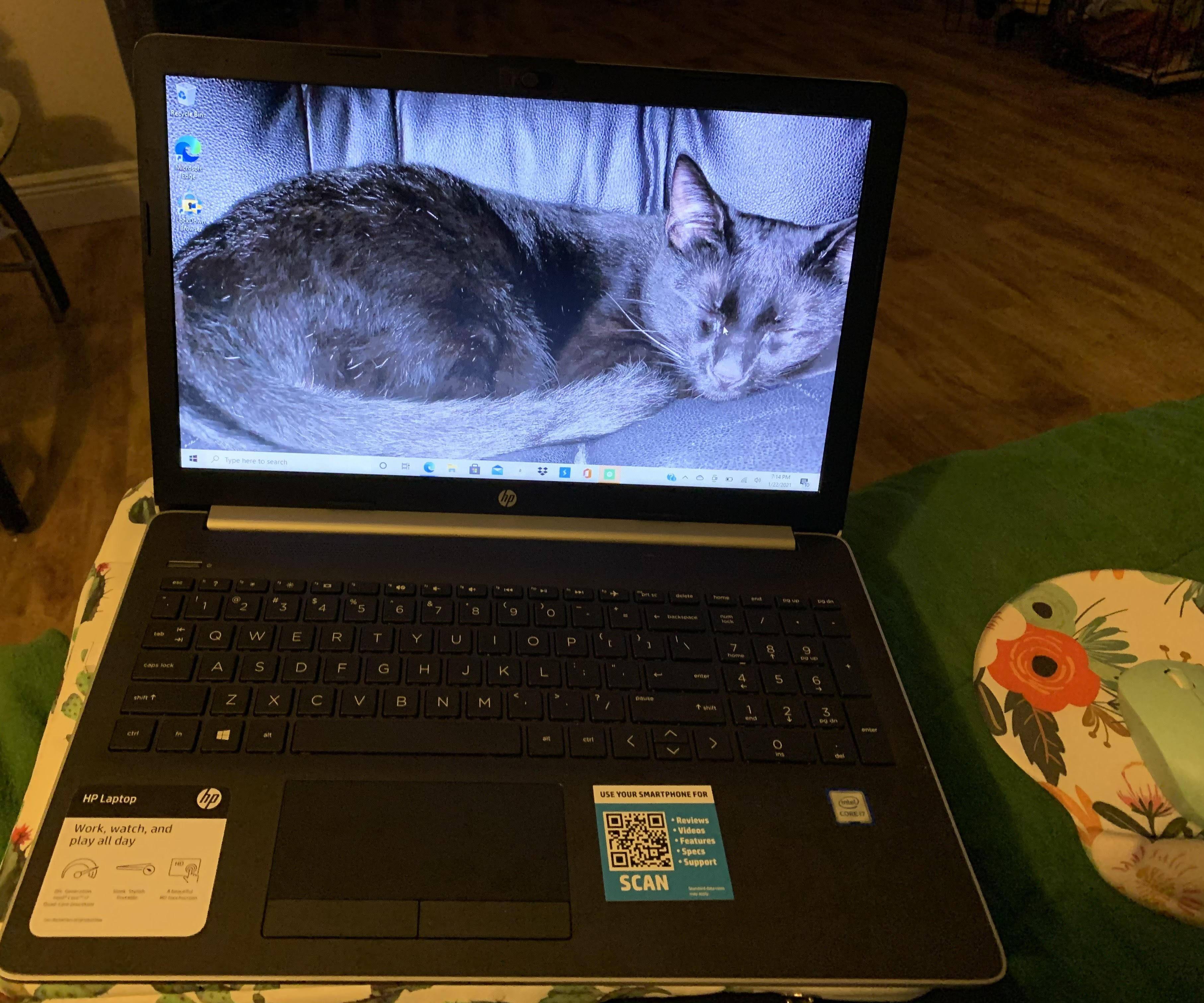 Customer provided image, click to load a larger version