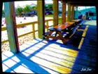PIER Lauderdale at the Beach, click to load a larger version