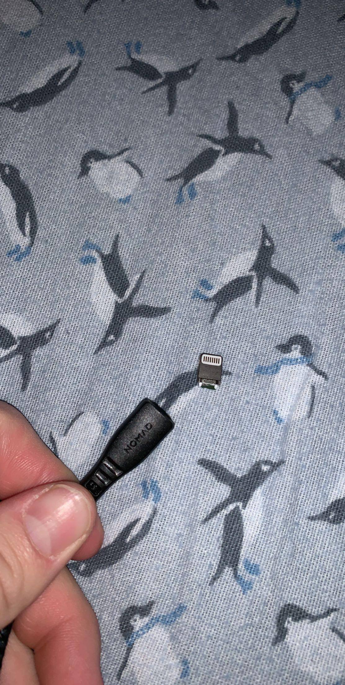 Customer provided image, click to load a larger version