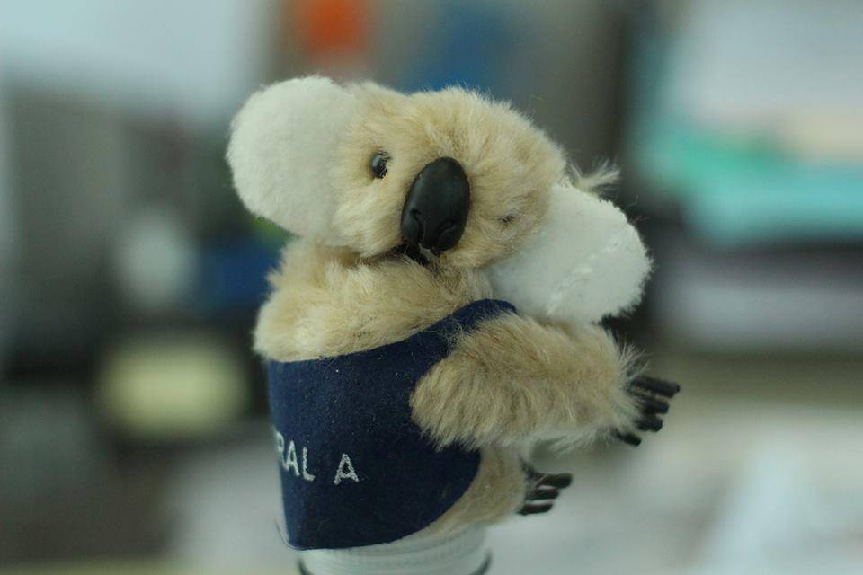 taken from about 8 in. away., click to load a larger version