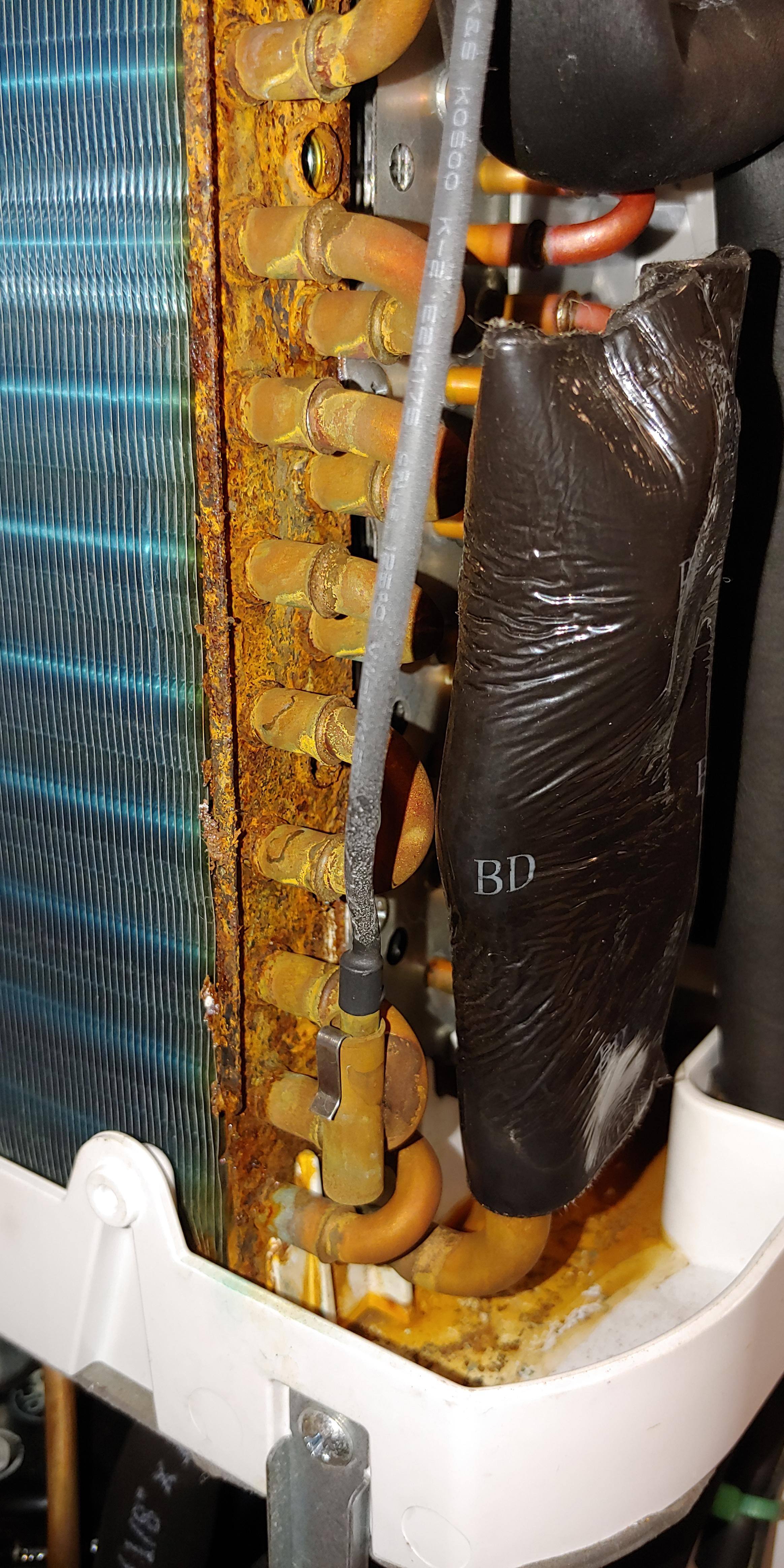 Rust!, click to load a larger version