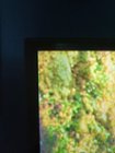 Small Bezel and Mini LEDs, click to load a larger version