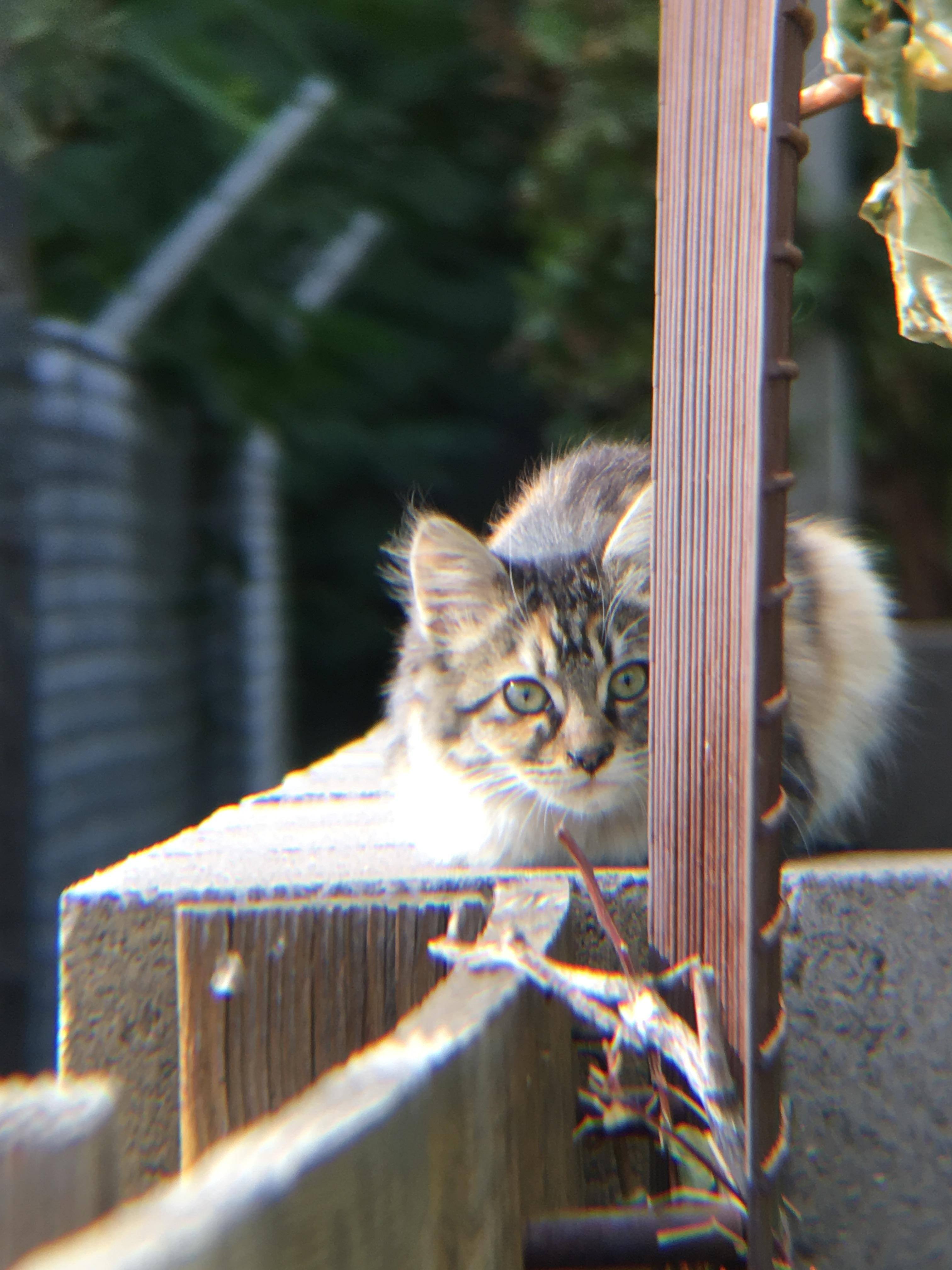 zoom, click to load a larger version