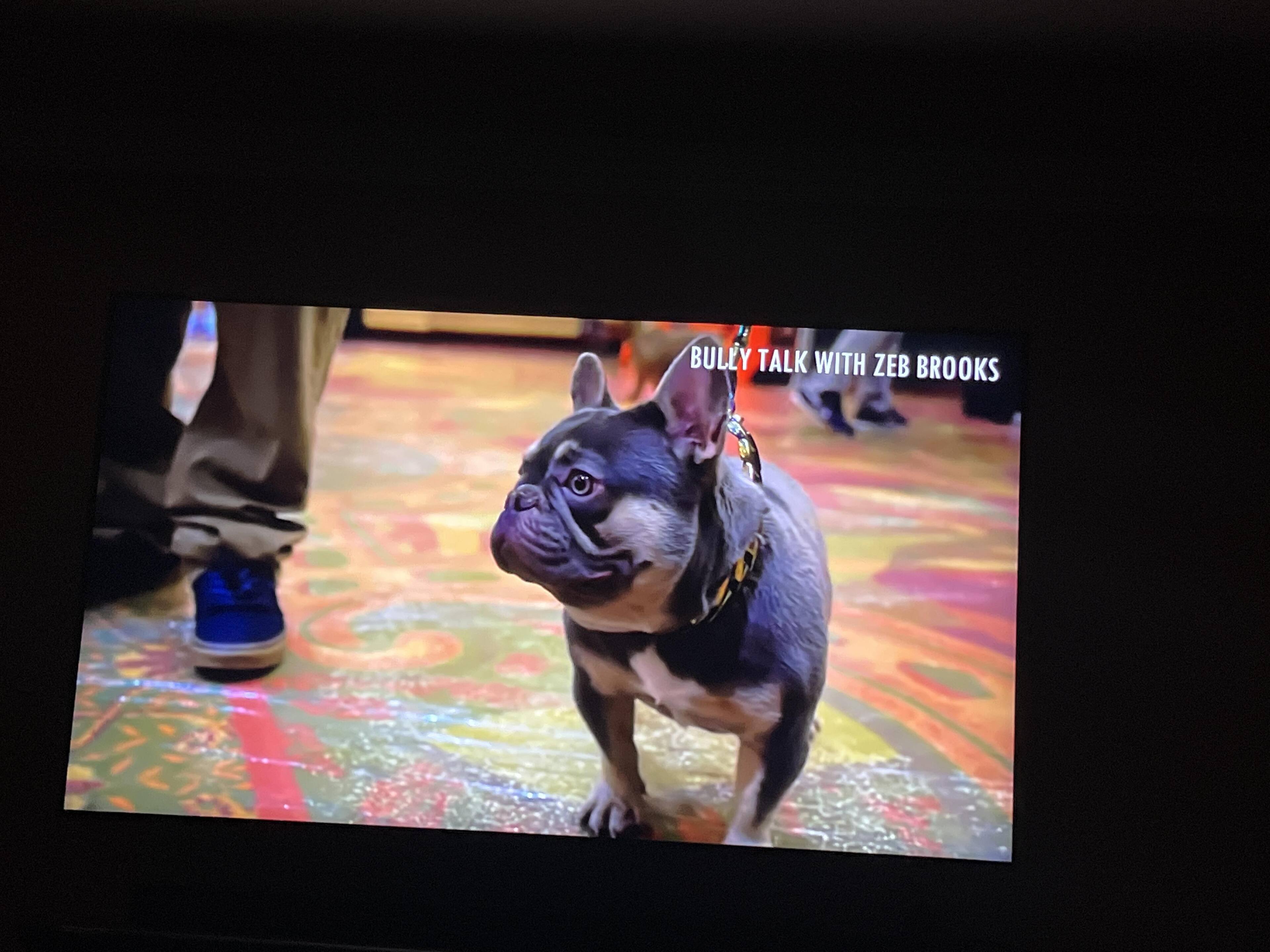 Customer provided, click to load a larger version