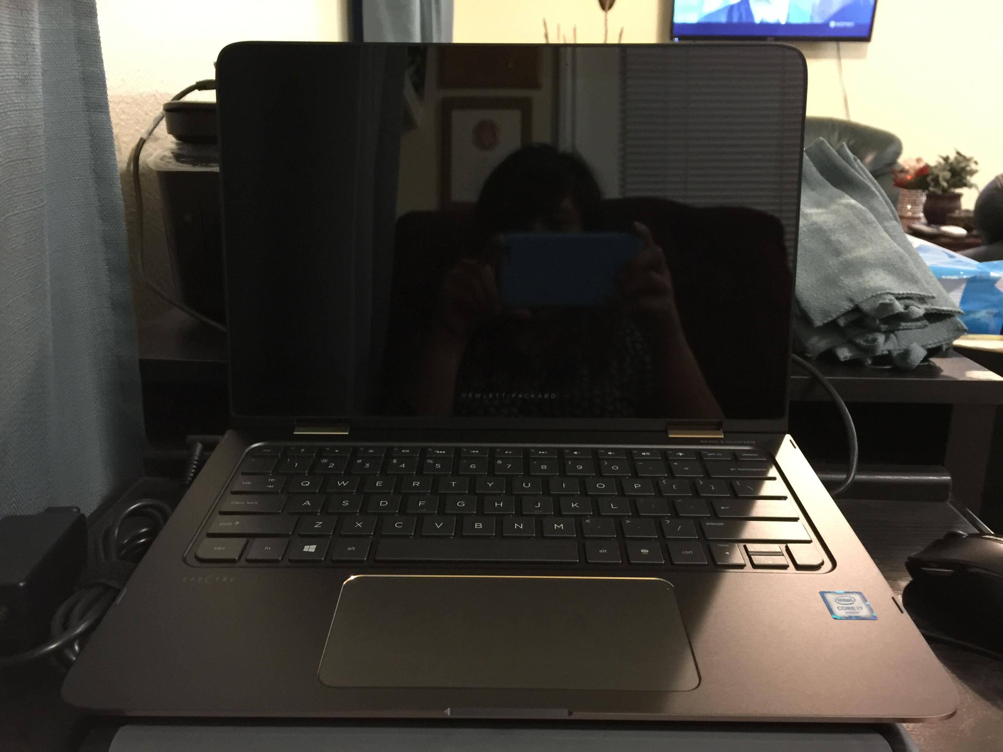 Picture 1, click to load a larger version