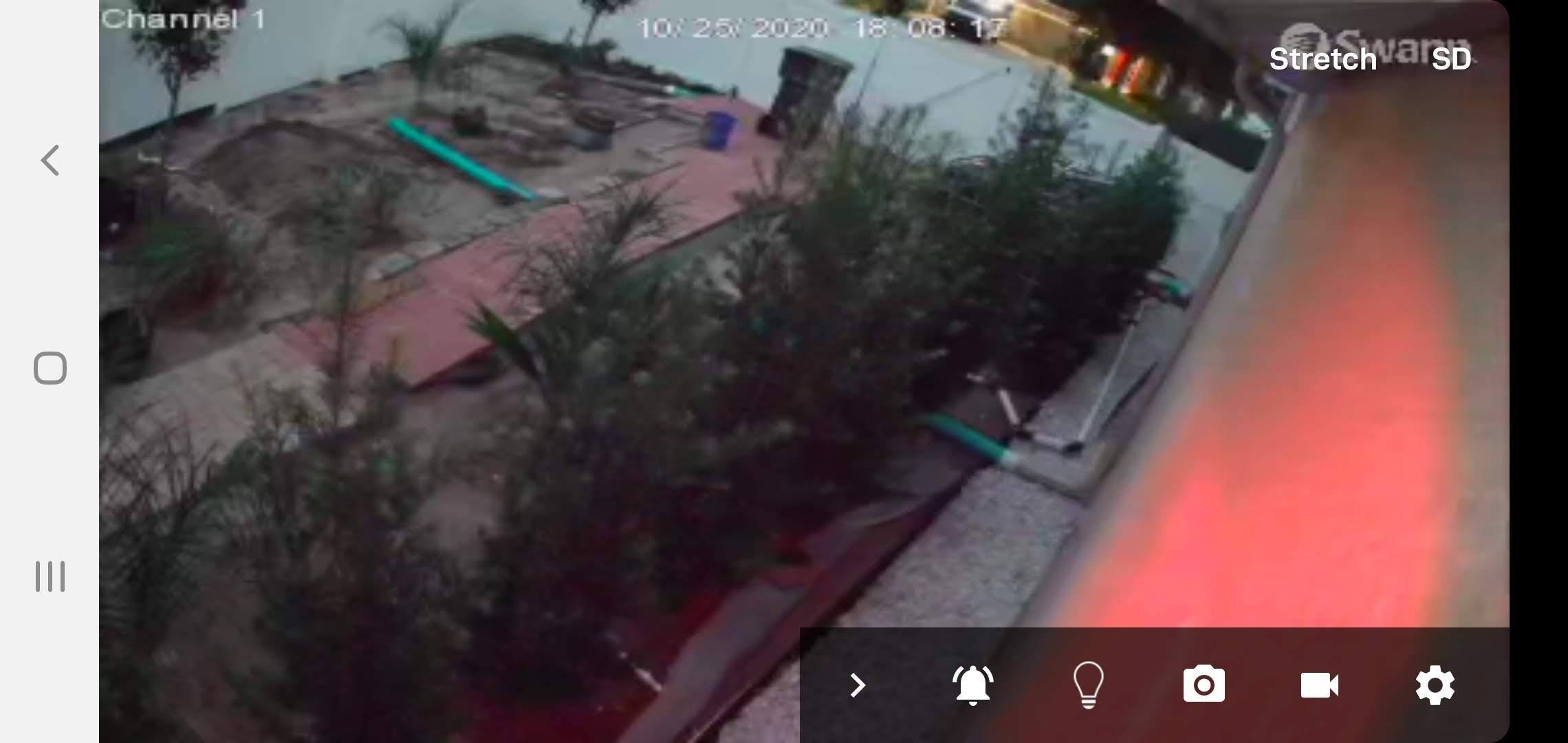 Night vision, click to load a larger version