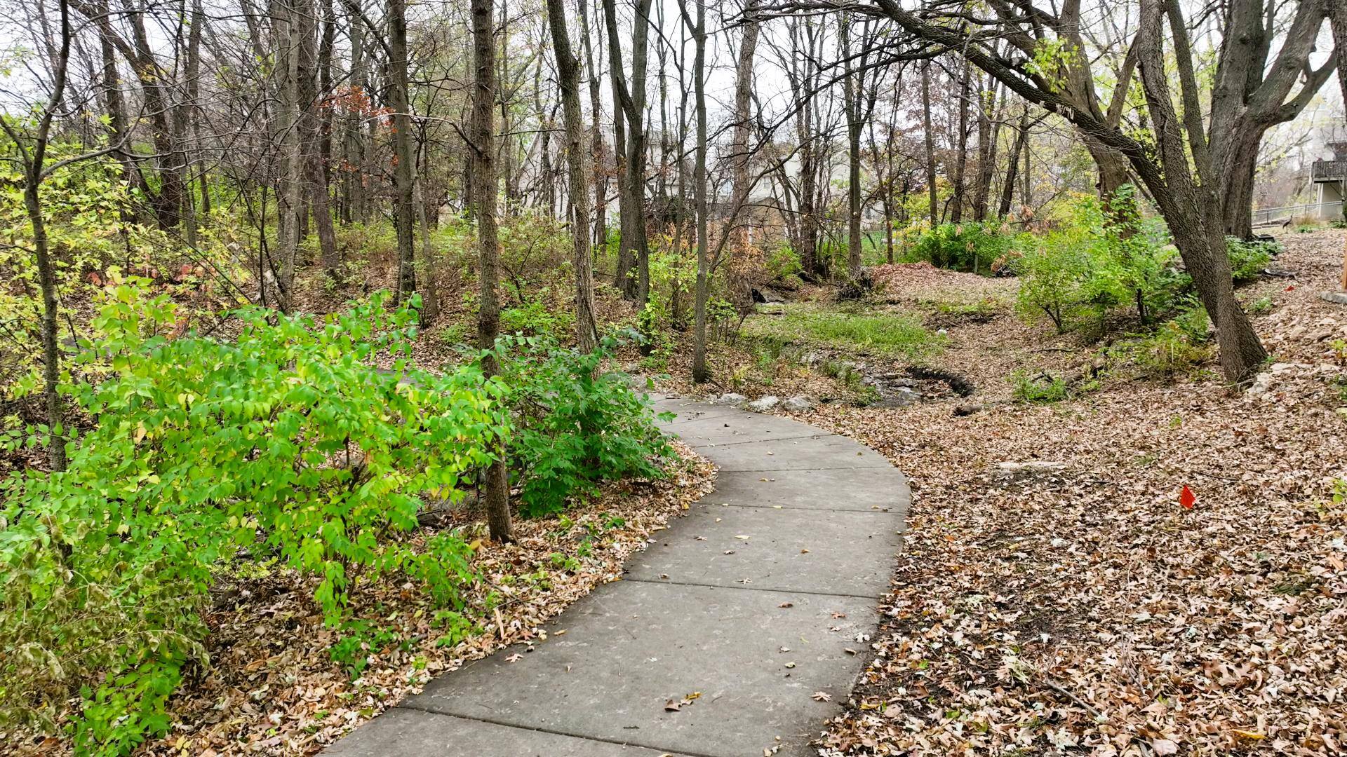 Drone view of walking path., click to load a larger version