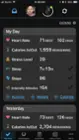 Garmin app, click to load a larger version