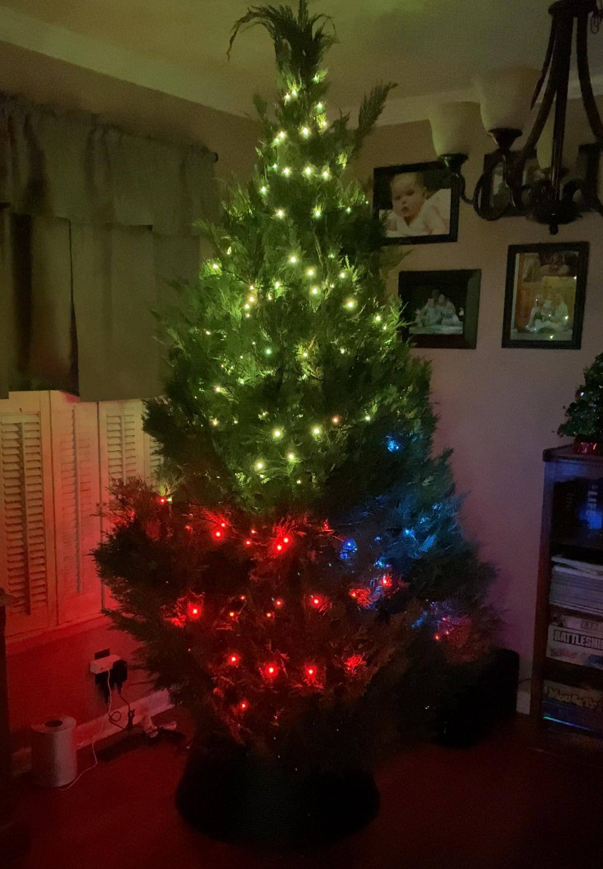 Customer provided image, click to load a larger version