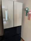 7.6 cu. ft. Kimchi & Specialty 2-Door Chest Refrigerator in Silver  Refrigerators - RP22T31137Z/AA