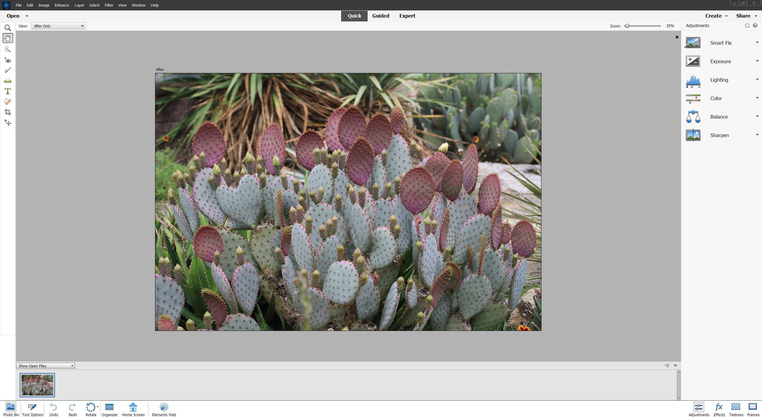(photo on screen taken by ME):  The guided screen is more basic and gives you lessons and guides to do basic and some artistic things to your photos., click to load a larger version