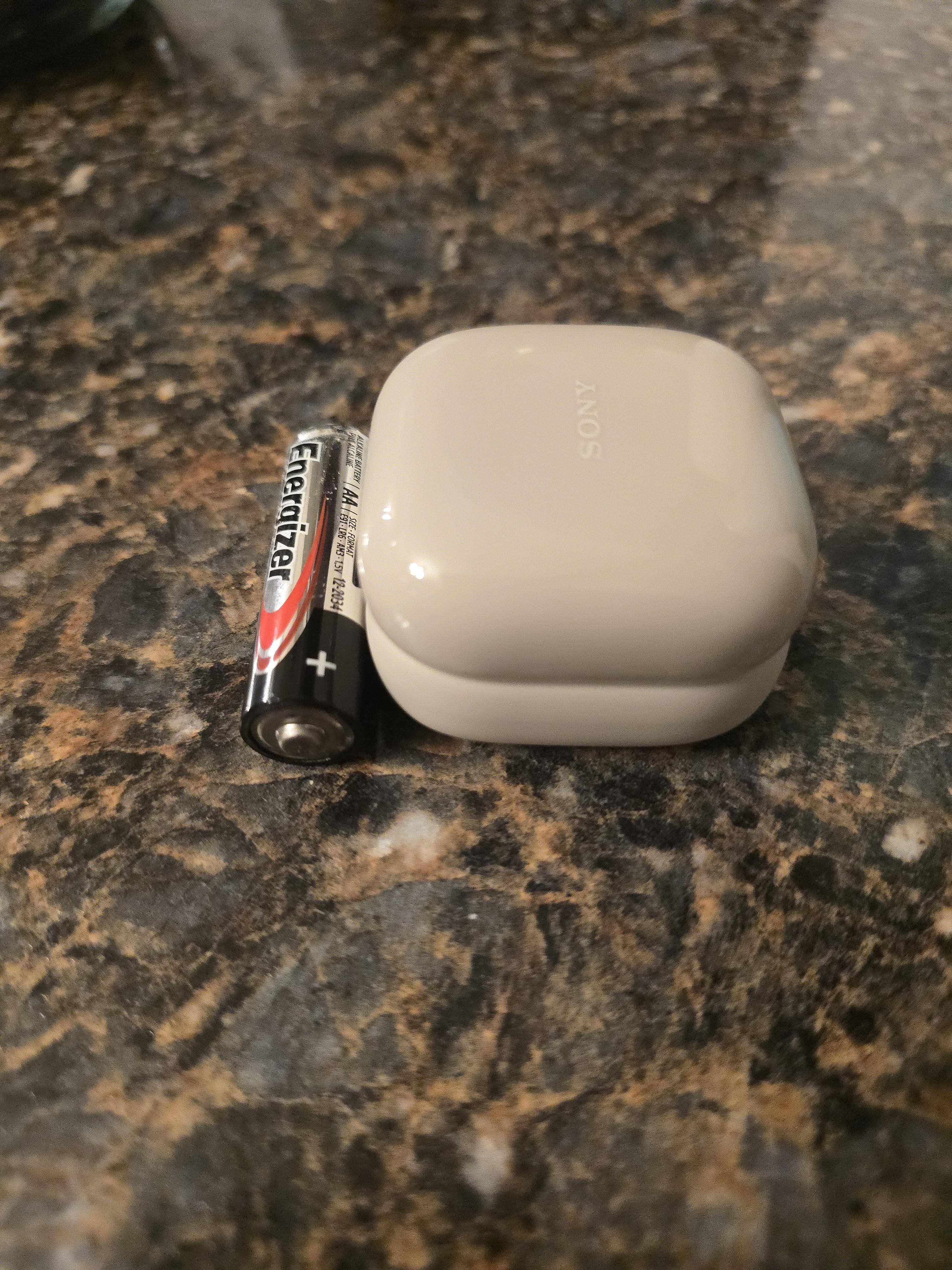 AA battery for scale, click to load a larger version