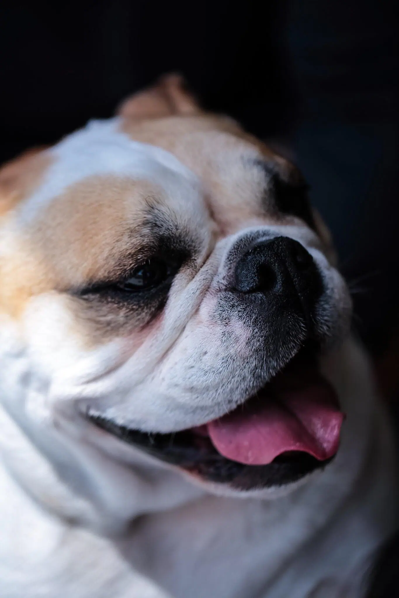 Instagram: Solon_photography, click to load a larger version