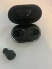 Case and earphones, click to load a larger version