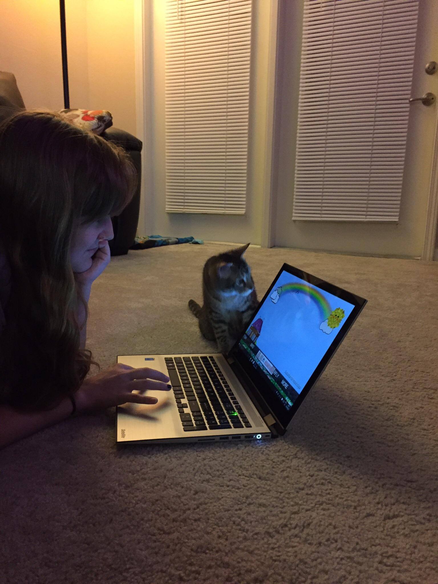 Customer provided image, click to load a larger version