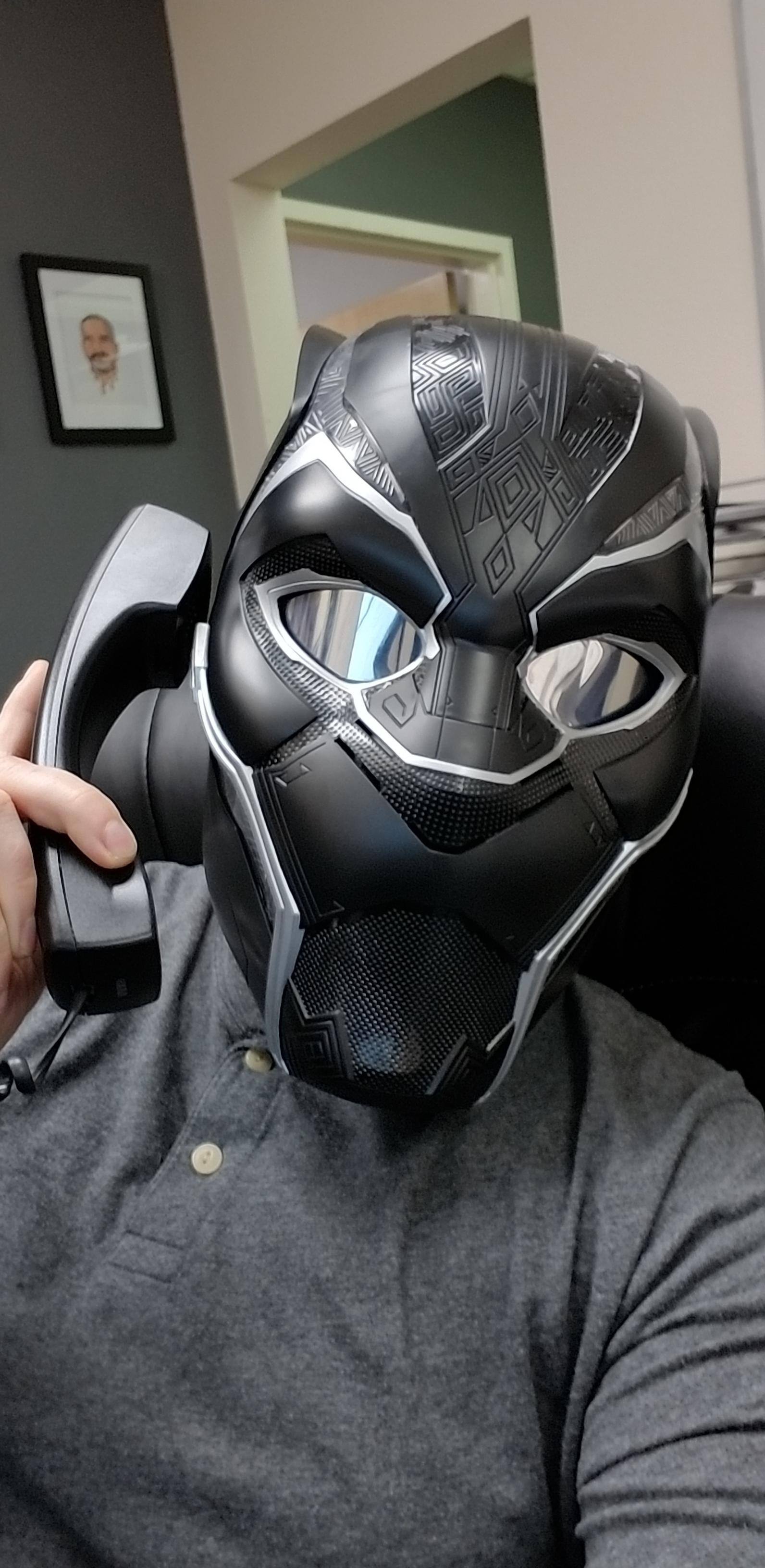 T'Challa, here to assist you, click to load a larger version