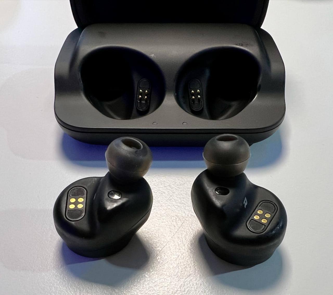 Buds and case, click to load a larger version